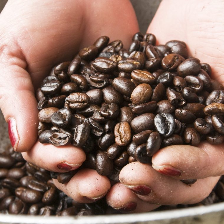 Circuito Armenia CP 4