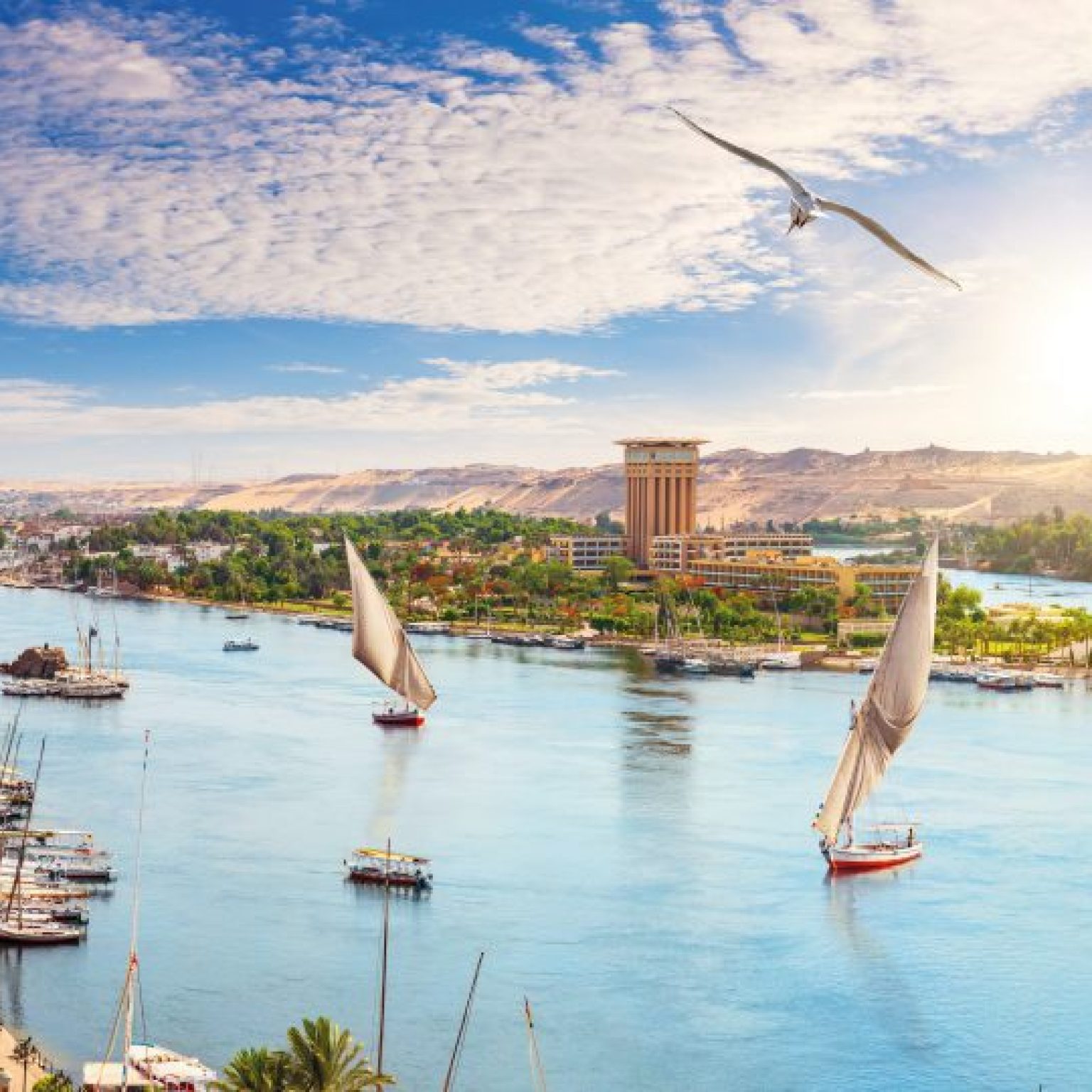 Turquia Egipto y Dubai CP 5