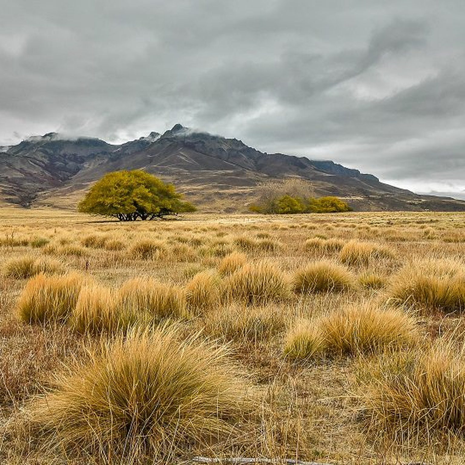 Patagonia Argentina CP 5