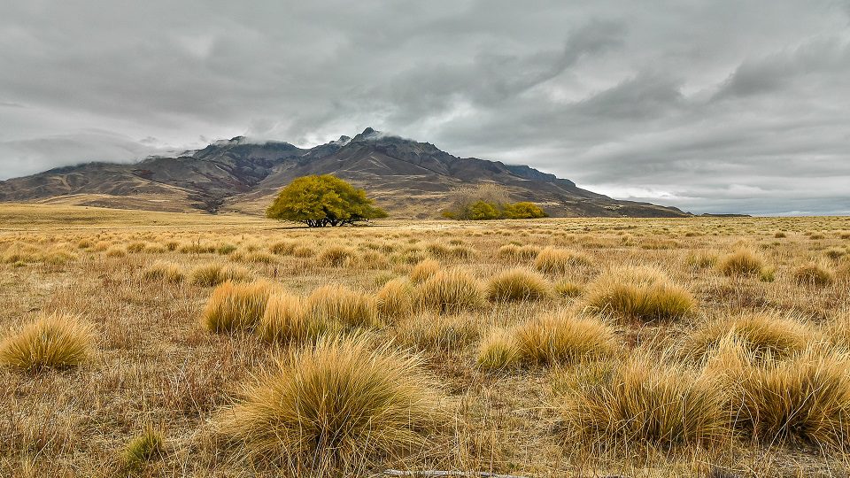 Patagonia Argentina CP 5