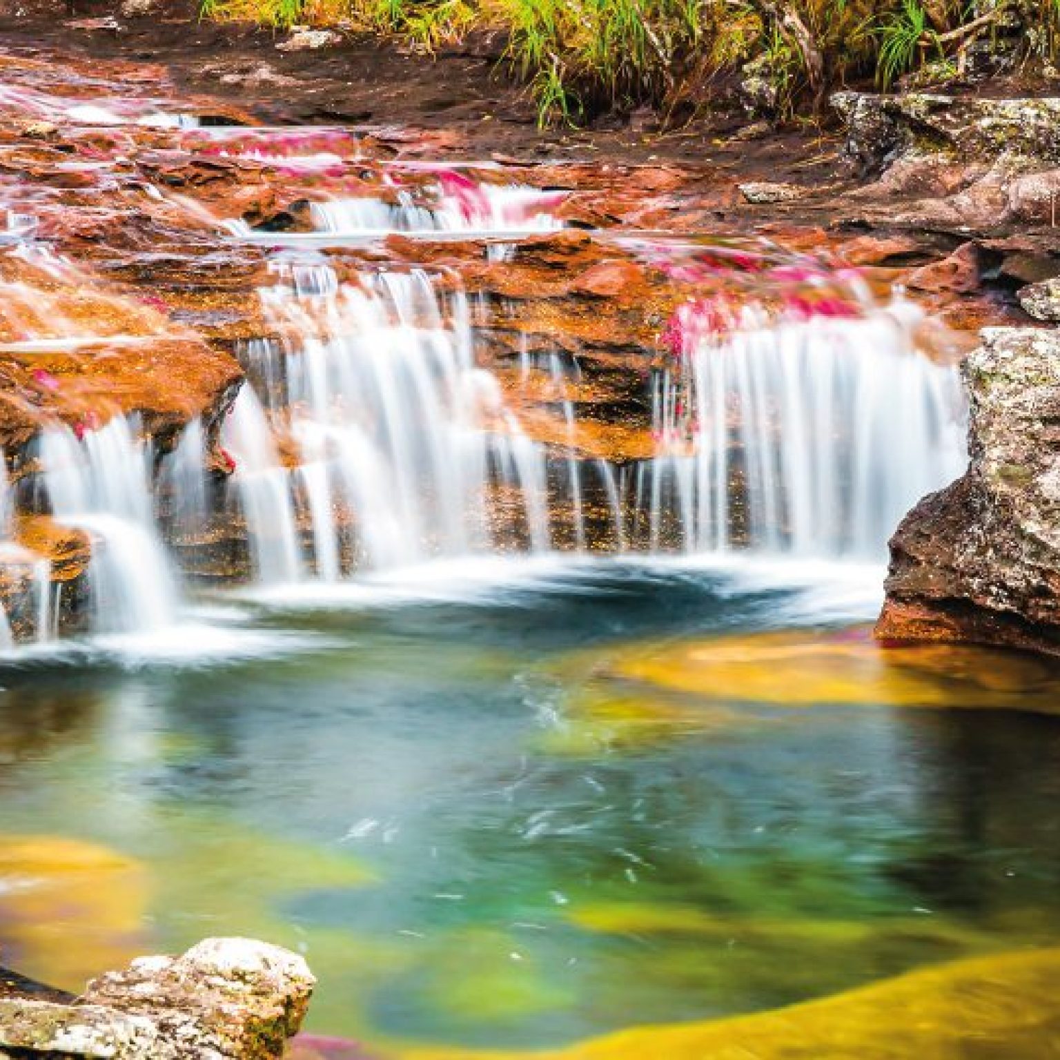 Caño Cristales CP 6