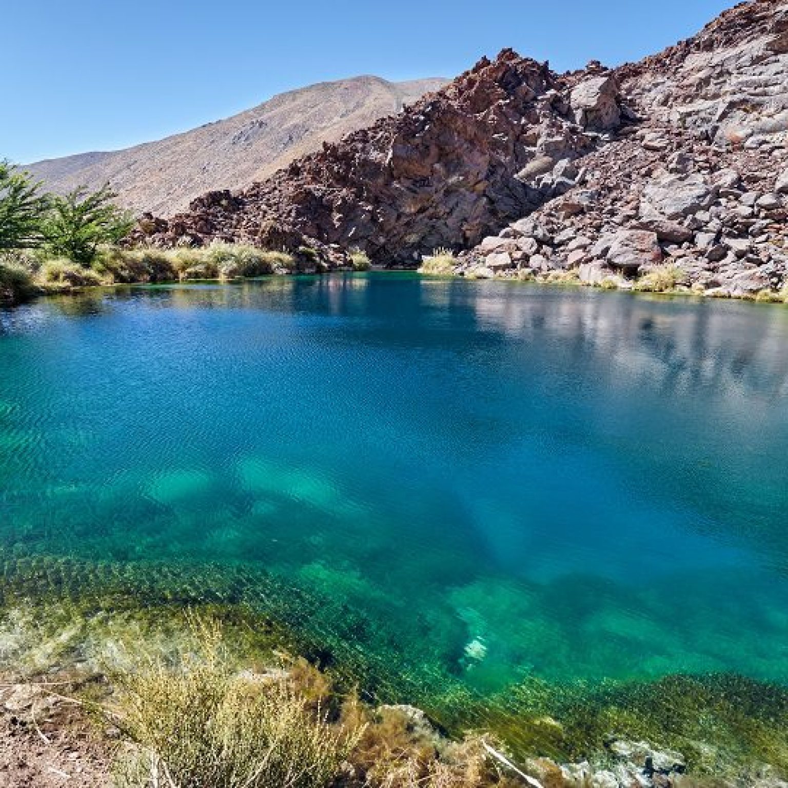 Los caminos del vino CP 6