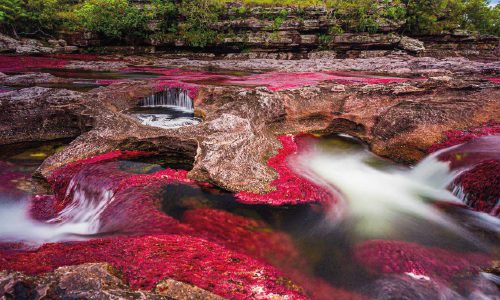 Caño Cristales LAC 2