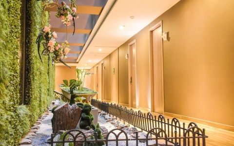 Carrusel Hoteles Catedral Plaza 3