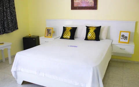 Banner Principal Hoteles Chame