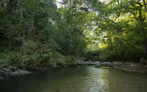 Carrusel Hoteles Chunuu Hostal y Glamping Minca 2