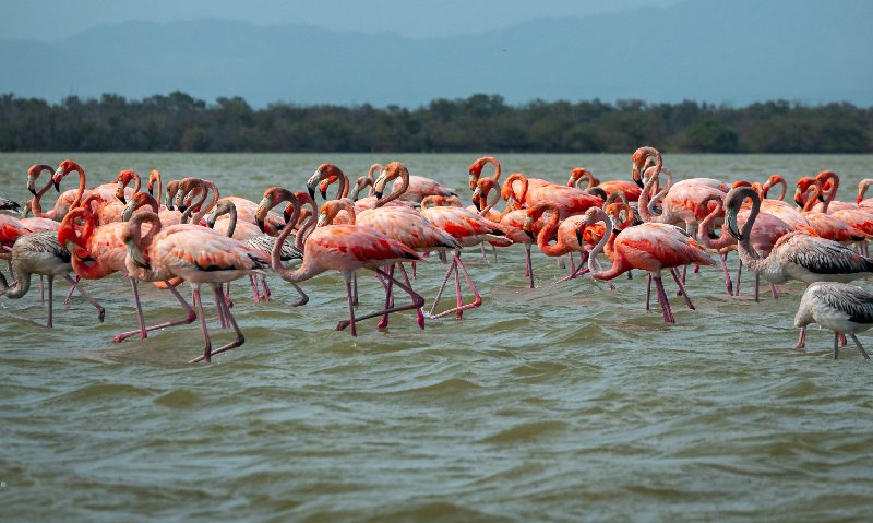 Guajira, Cabo de la Vela, Playas LAC 3