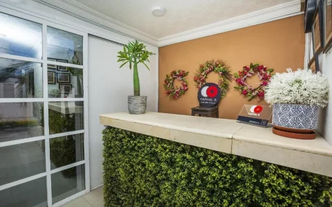 Carrusel Hoteles DNA Cancún 3