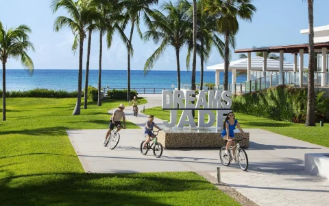 Carrusel Hoteles Dreams Jade Resort & Spa - All Inclusive 5