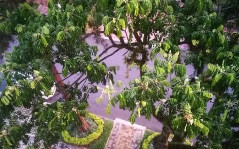 Carrusel Hoteles EcoHub Hotel Medellín 2