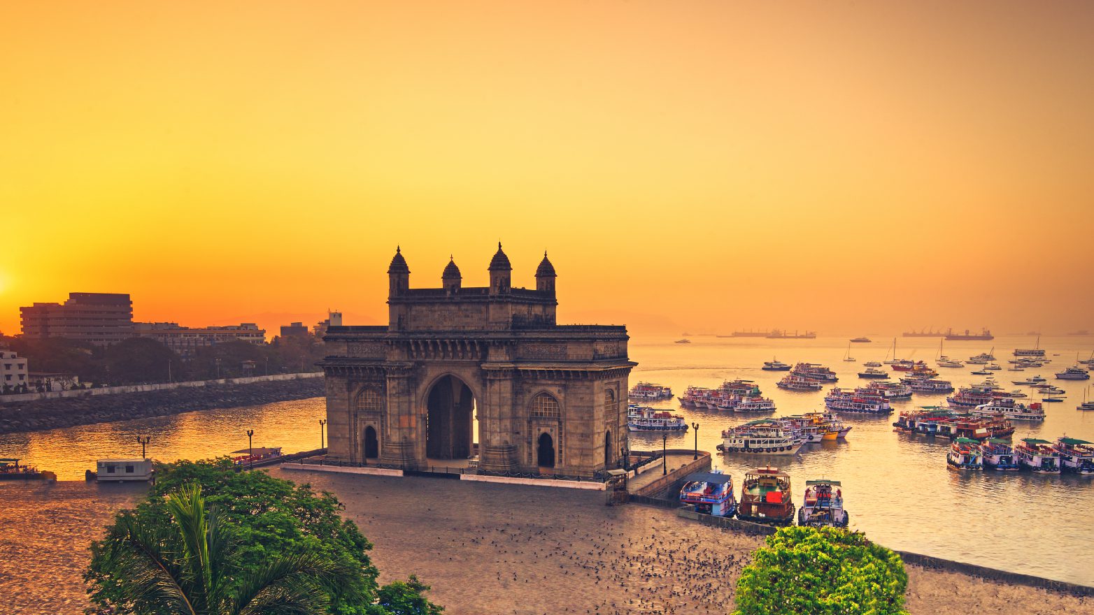 Mega India CP 1