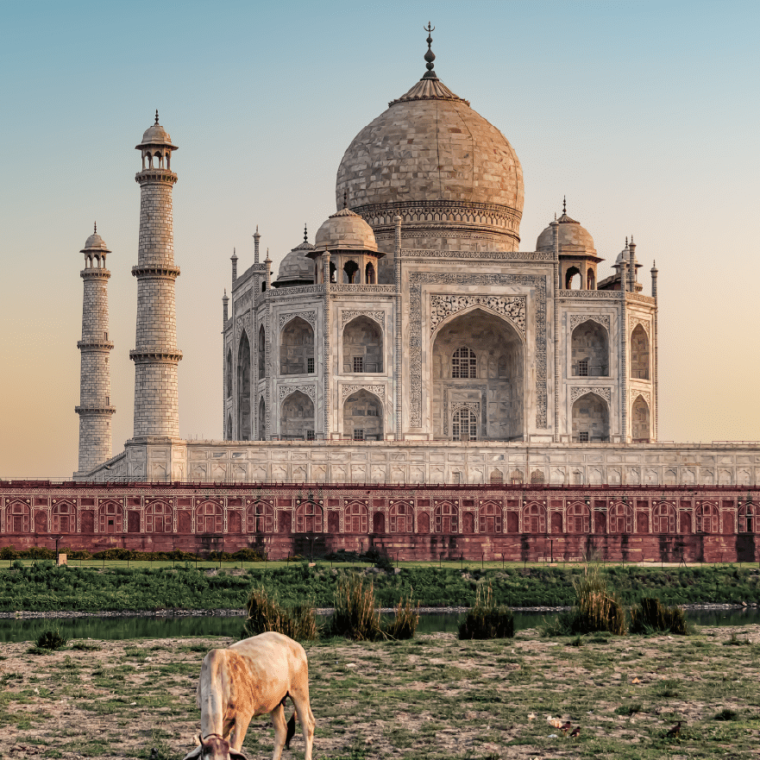 Triángulo de Oro Con Krabi CP 1