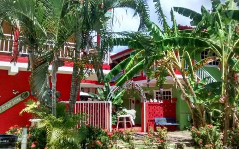 Banner Principal Hoteles Posada Nativa Licy