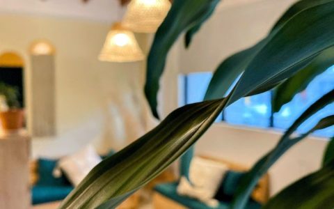 Carrusel Hoteles Luum Guest House 3