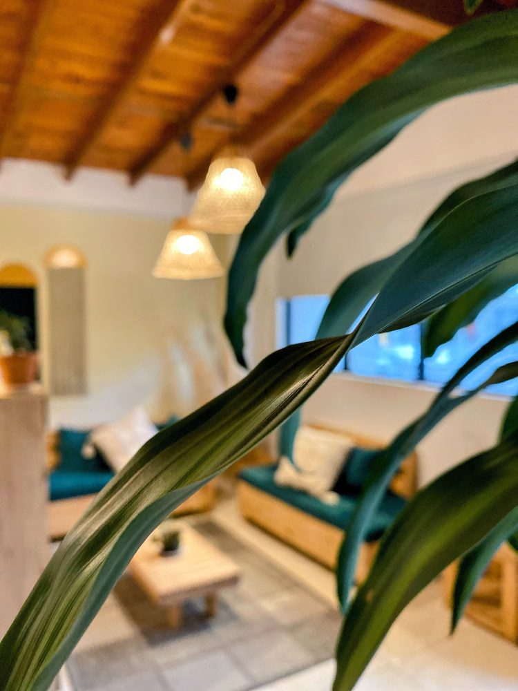 Carrusel Hoteles Luum Guest House 3