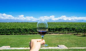 Los caminos del vino LAC 2