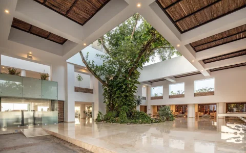 Carrusel Hoteles Playacar Palace All Inclusive 5