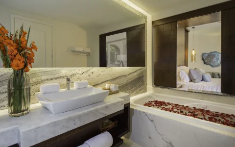 Carrusel Hoteles Secrets Royal 4