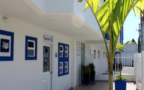 Carrusel Hoteles White Coral Apartasuite 5