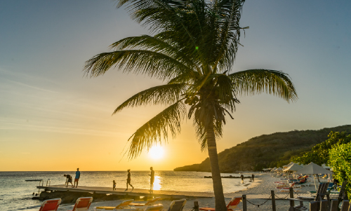 Circuitos Coveñas 4D