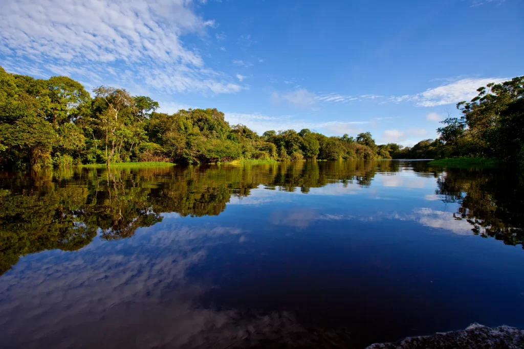 Río Amazonas rodeado de selva tropical que se refleja en el agua