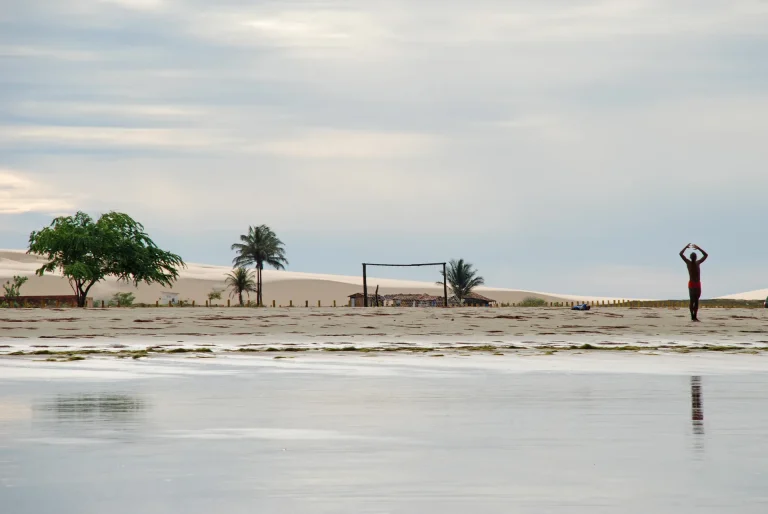 Playa de Jericoacoara con palmeras y aguas tranquilas, Brasil