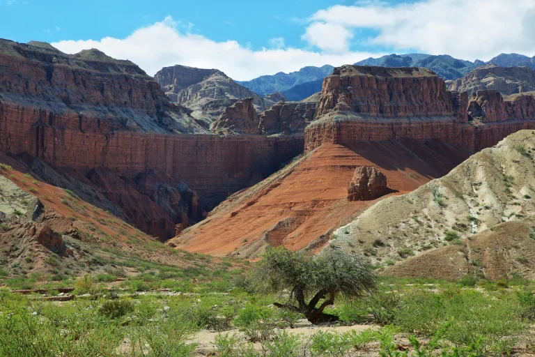 Cañón de roca rojiza y montañas áridas del oeste argentino, paisaje similar al Cañón del Atuel, Mendoza