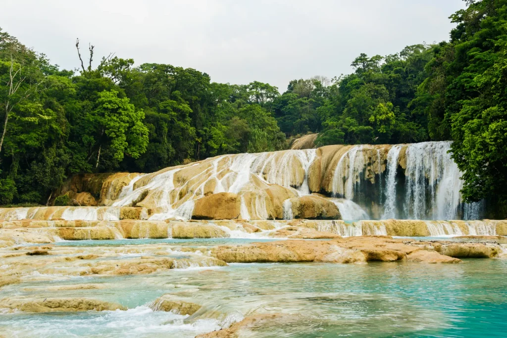 Cascadas de Agua Azul con aguas turquesas en la selva de Chiapas, México