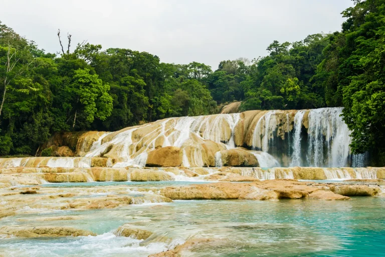 Cascadas de Agua Azul con aguas turquesas en la selva de Chiapas, México