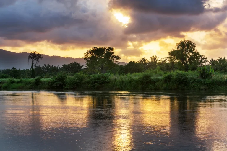 Amplio río tropical con palmeras al atardecer, paisaje evocador del Orinoco en Ciudad Bolívar, Venezuela