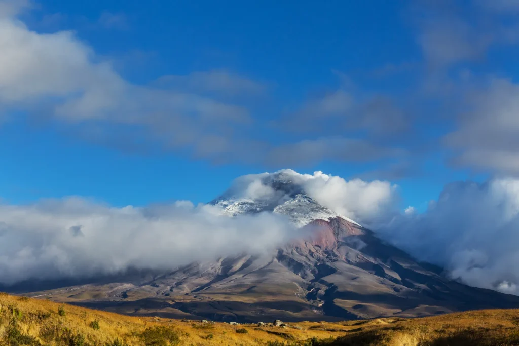 Volcán Cotopaxi nevado sobre el páramo, Ecuador