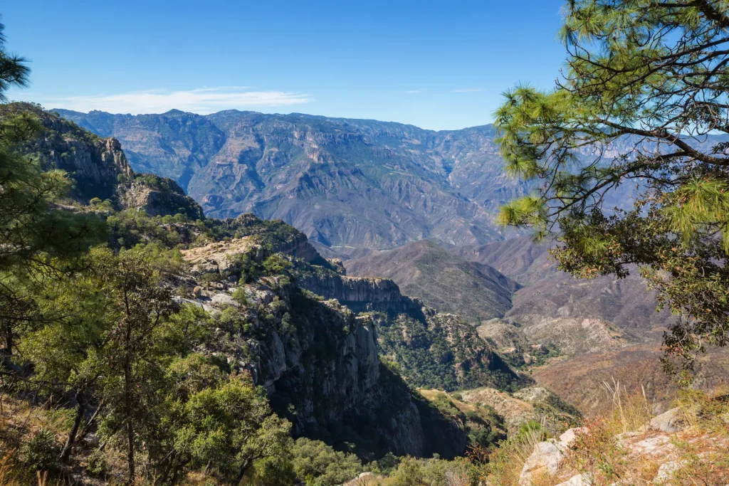 Cañadas y pinares de la Sierra Madre Occidental, paisaje serrano como el de Durango, México