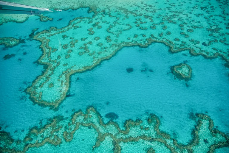 Vista aérea de los arrecifes de la Gran Barrera de Coral con el Heart Reef, Queensland, Australia