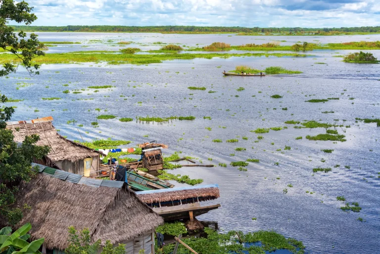 Cabañas de techo de palma a orillas del río en Iquitos, en la Amazonía peruana