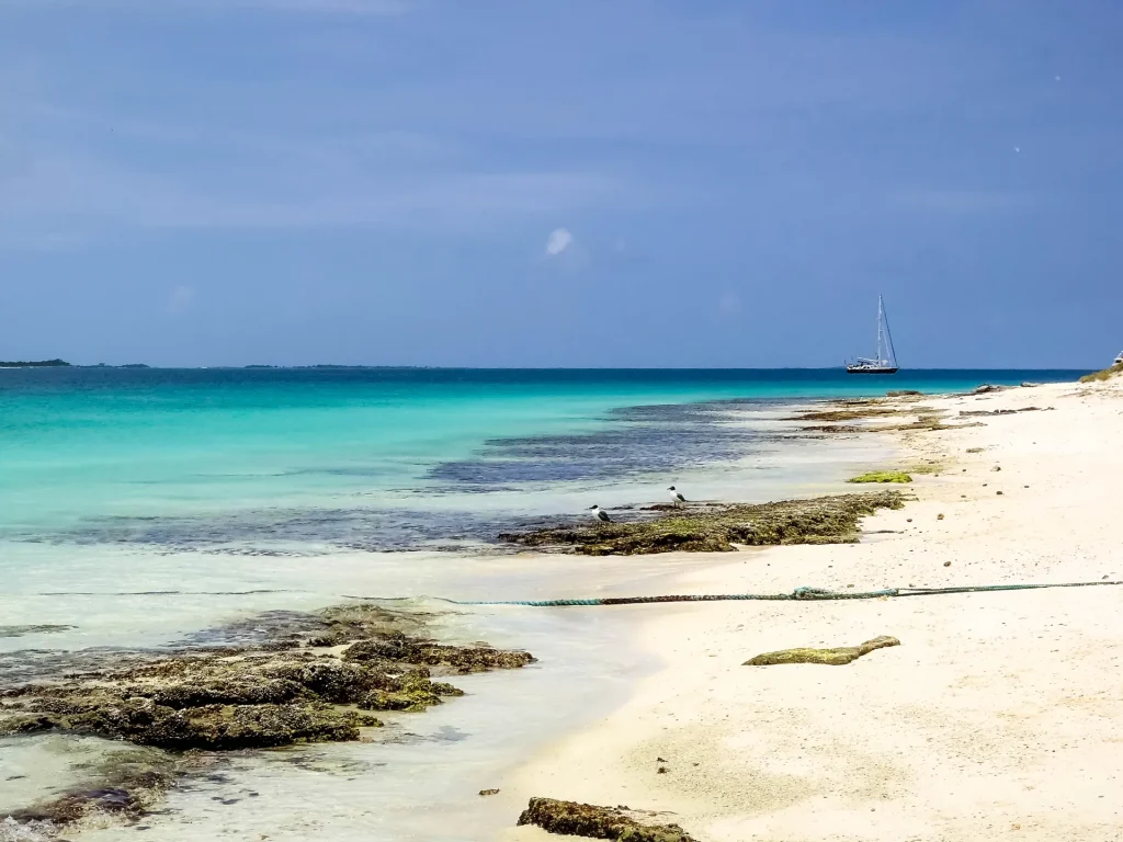 Playa de arena blanca y aguas turquesas en una isla del Caribe venezolano, similar a La Tortuga