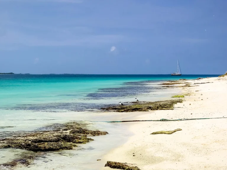 Playa de arena blanca y aguas turquesas en una isla del Caribe venezolano, similar a La Tortuga
