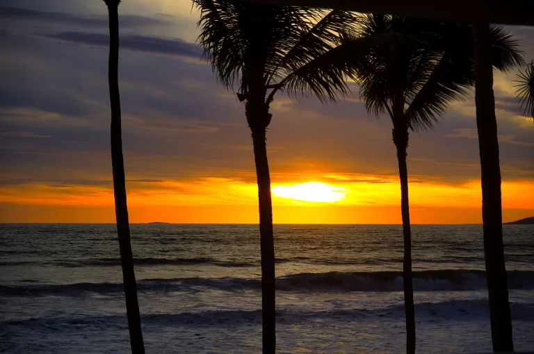 Atardecer entre palmeras frente al oleaje del Pacífico, ambiente de playa surfera como Montañita, Ecuador