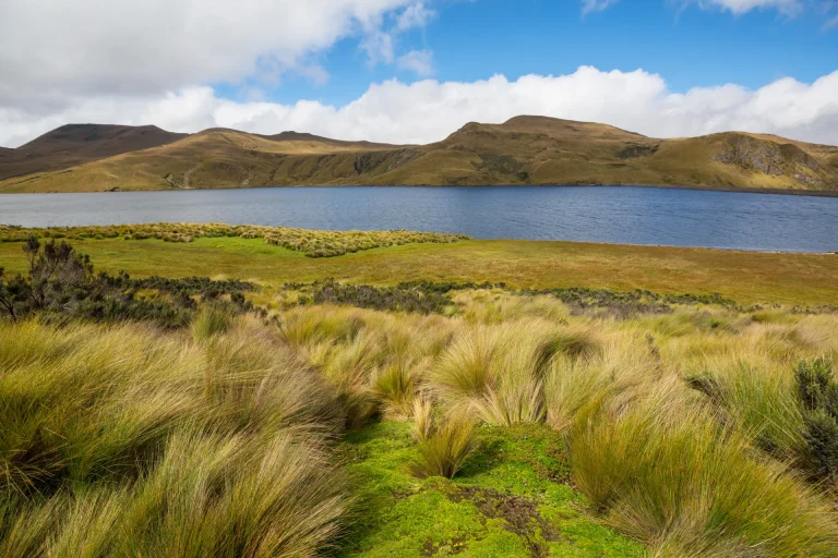 Laguna andina rodeada de pajonal y colinas, paisaje típico de los alrededores de Otavalo, Imbabura, Ecuador
