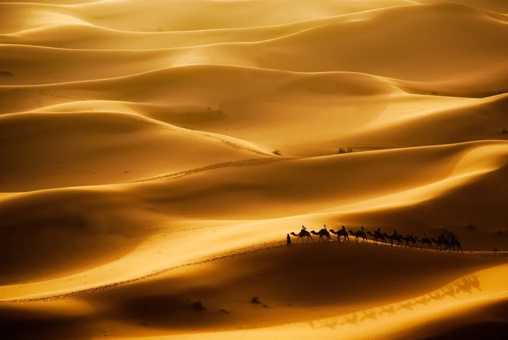 Caravana de camellos entre grandes dunas doradas del Sahara