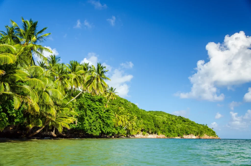 Costa verde y exuberante con palmeras en una isla del Caribe