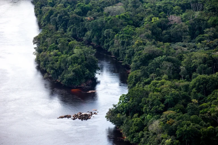 Vista aérea de un río entre la selva tropical del escudo guayanés y la Amazonía