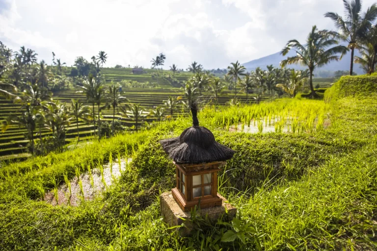 Arrozales en terrazas de Jatiluwih con un pequeño altar, Bali, Indonesia
