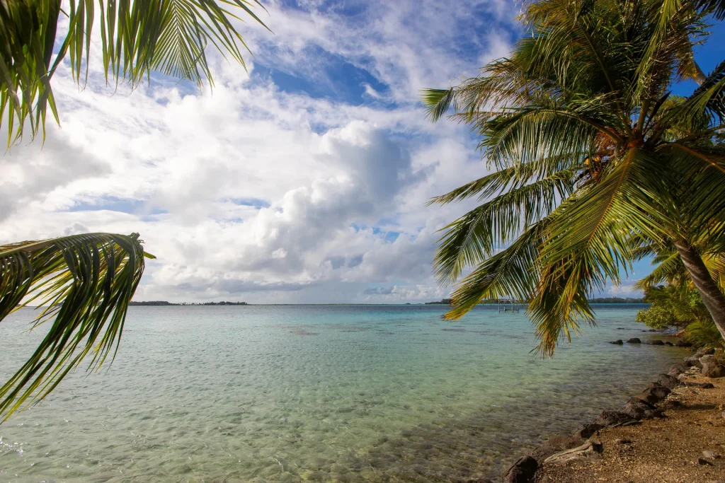 Playa de isla tropical con cocoteros y laguna en calma