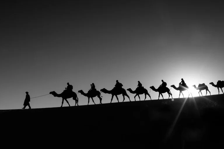 Caravana de camellos cruzando las dunas del desierto del Sahara