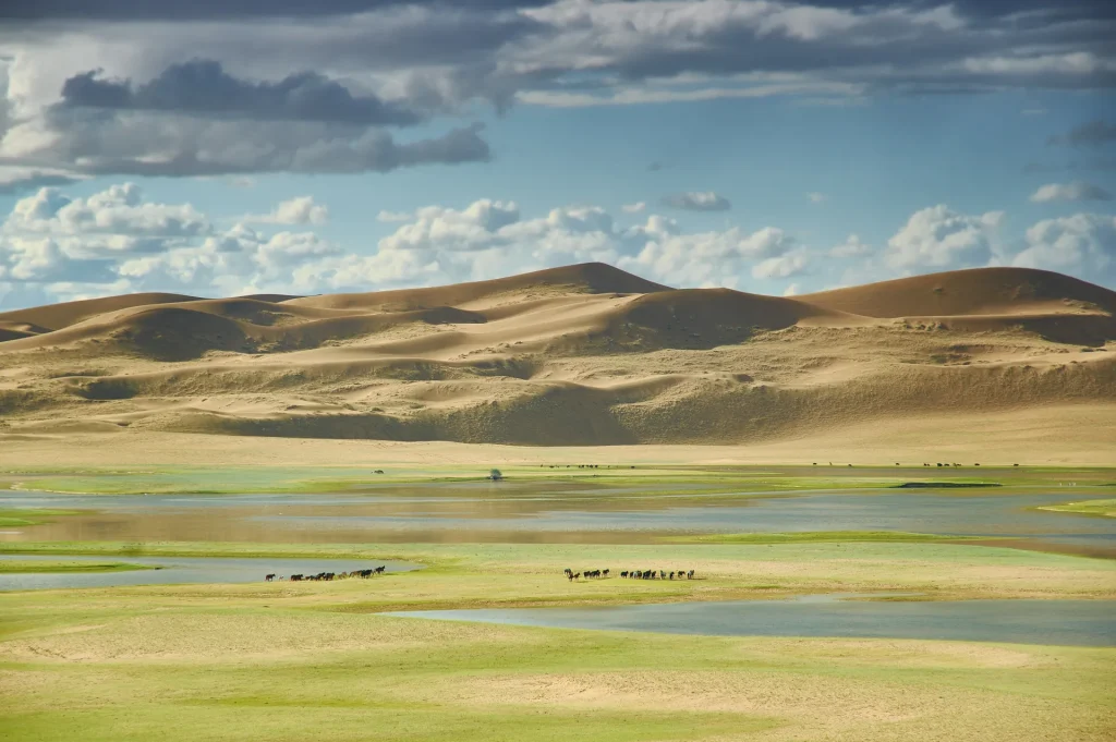 Dunas de Mongol Els junto al lago Durgen Nuur, Mongolia