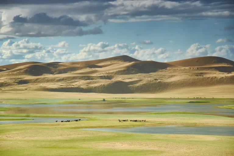 Dunas de Mongol Els junto al lago Durgen Nuur, Mongolia