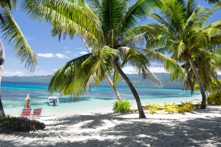 Playa tropical de arena blanca con palmeras y mar turquesa