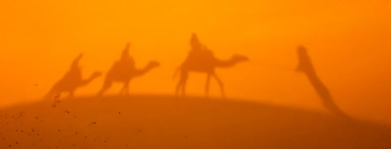 Sombra de una caravana de camellos sobre las dunas del Sahara