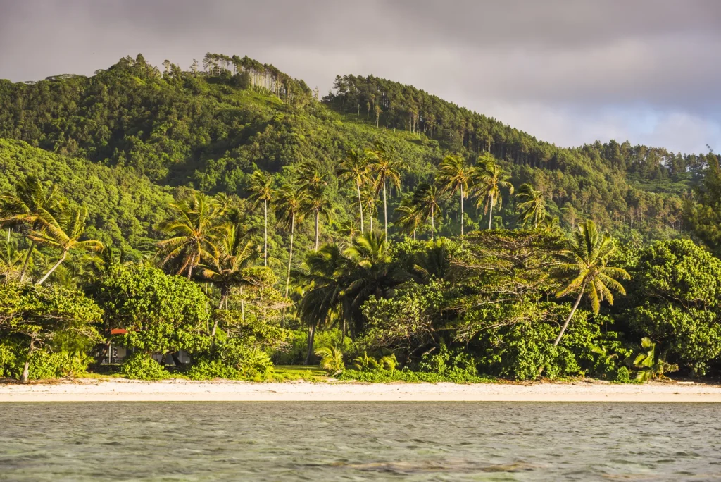 Palmeras y montañas verdes junto a la laguna de una isla de la Polinesia