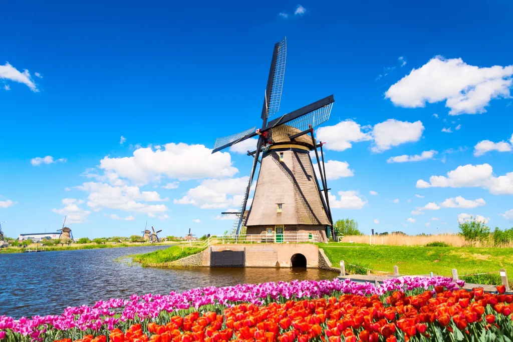 Molino de viento tradicional con campo de tulipanes en primavera, Países Bajos